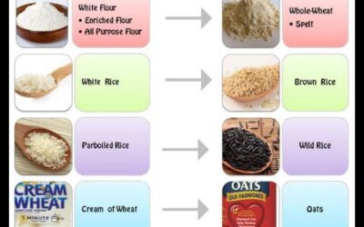 Refined vs Whole Grain